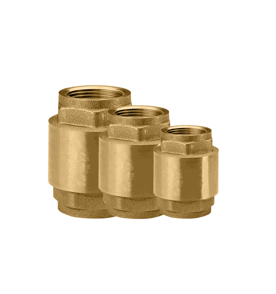 Non-return Valve